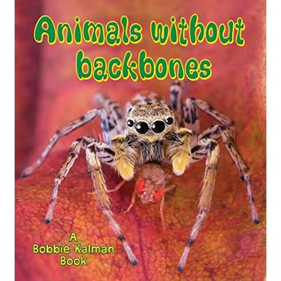 Pre-Owned Animals Without Backbones (Paperback) 0778732991 9780778732990