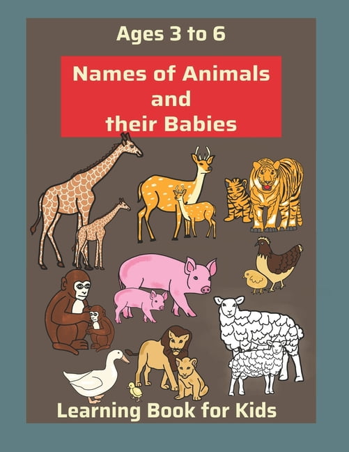 Animals and their babies book - Animal babies book. Learn animals and their babies names, (Paperback)