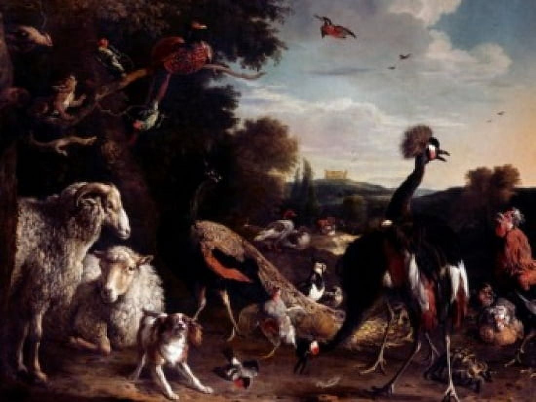 Animals from Noahs Ark by Melchior dHondecoeter (1636-1695) Canvas Art - Melchior dHondecoeter (18 x 24)