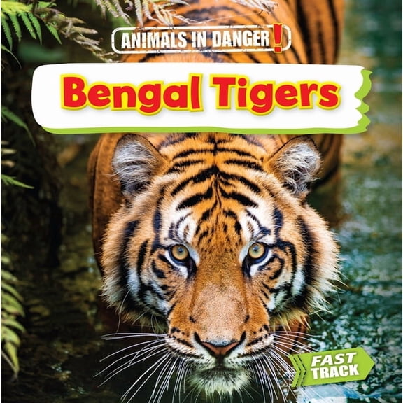 Animals in Danger: Bengal Tigers (Paperback)