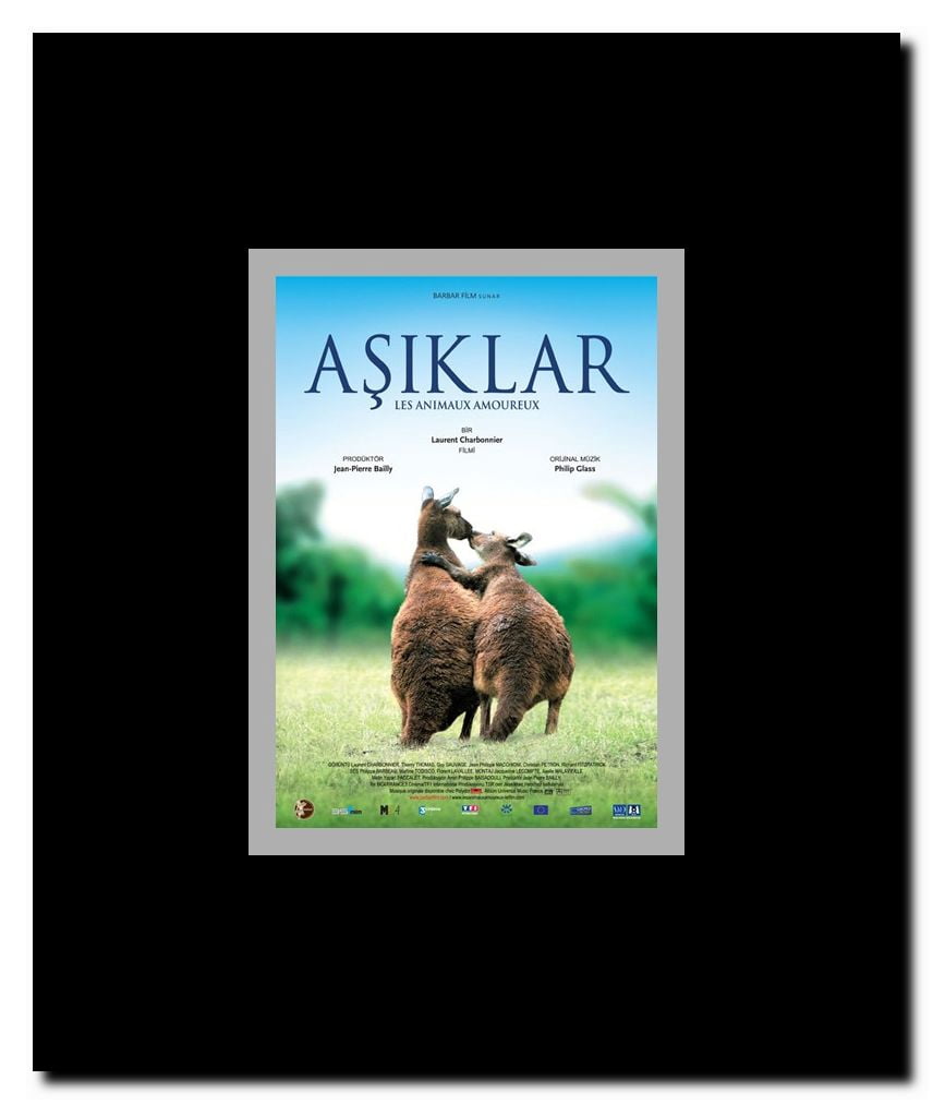 Animals in Love Framed Movie Poster