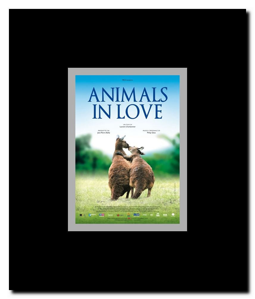 Animals in Love Framed Movie Poster