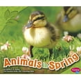 thumbnail image 1 of Pre-Owned Animals in Spring (Paperback) 1429693584 9781429693585, 1 of 1