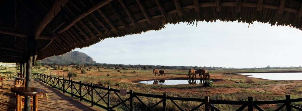 Animals near a pond in Tsavo East National Park Kenya Canvas Art - Panoramic Images (36 x 12)