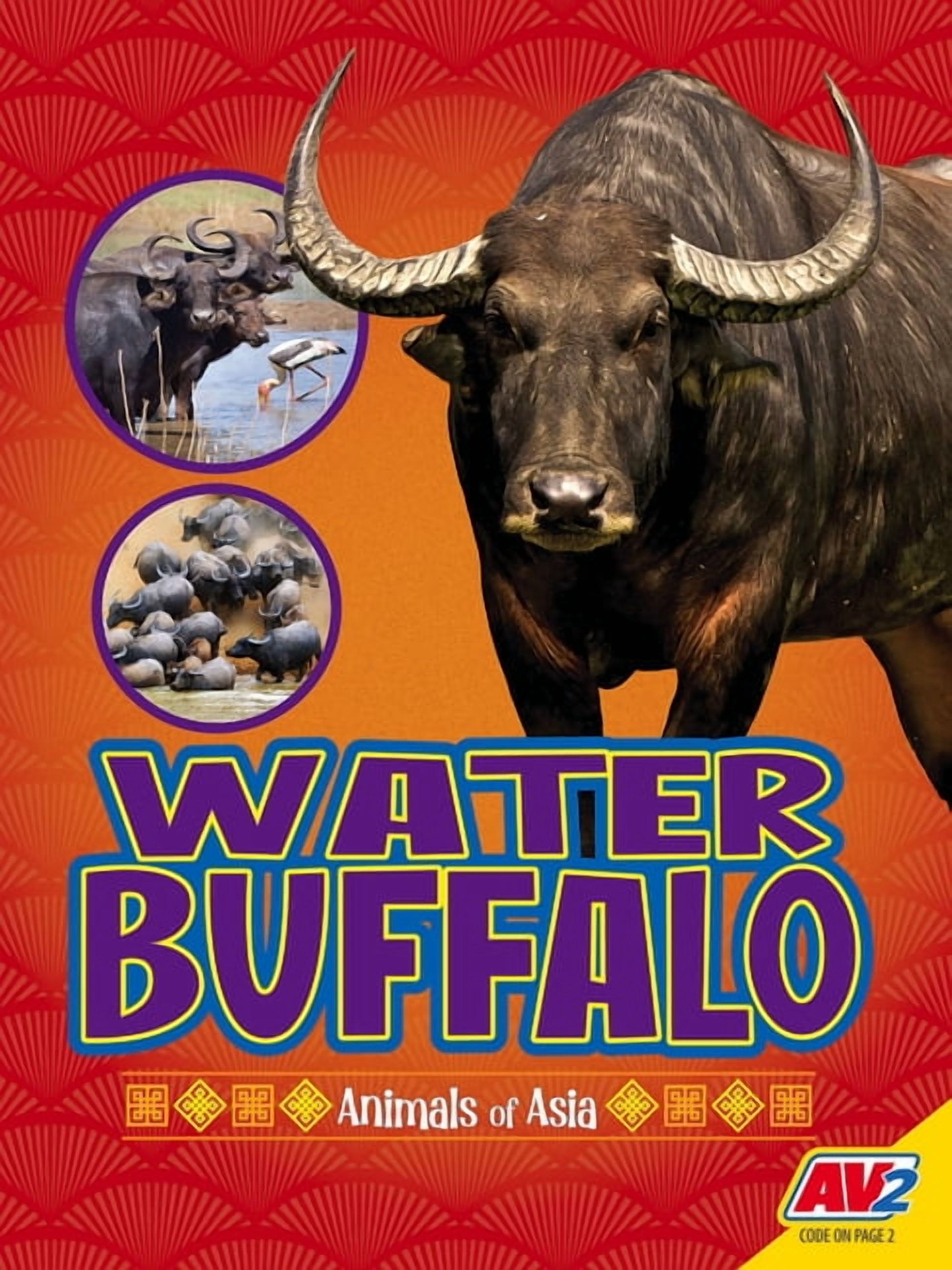 Animals of Asia Water Buffalo, (Hardcover)
