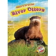 thumbnail image 1 of Animals of the Wetlands River Otters, (Hardcover), 1 of 1
