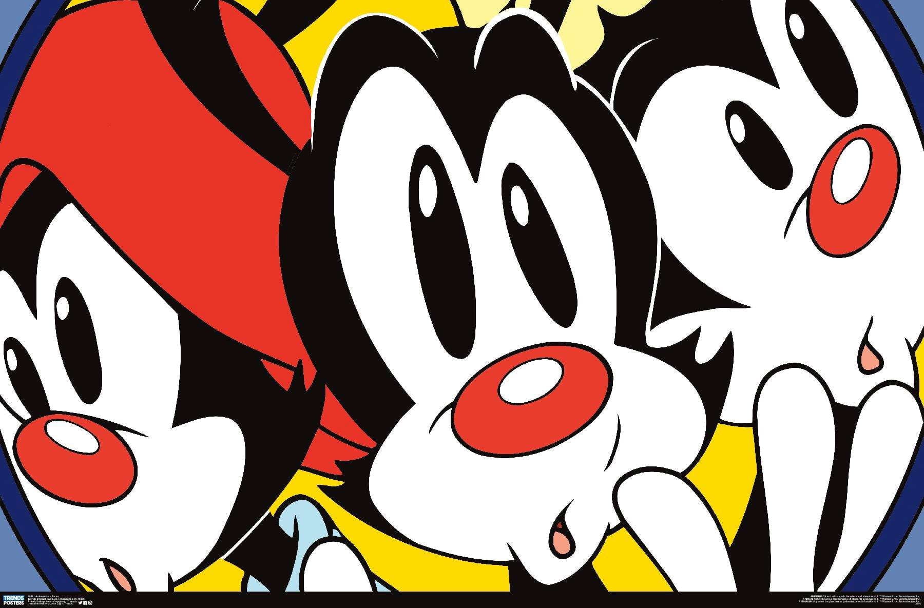 Buy Animaniacs Faces Poster x 34 at Ubuy Botswana
