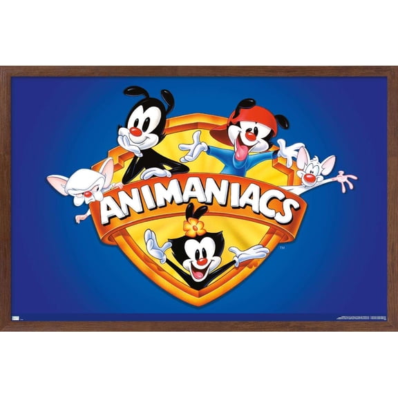 Animaniacs - Shield Wall Poster, 14.725" x 22.375", Framed
