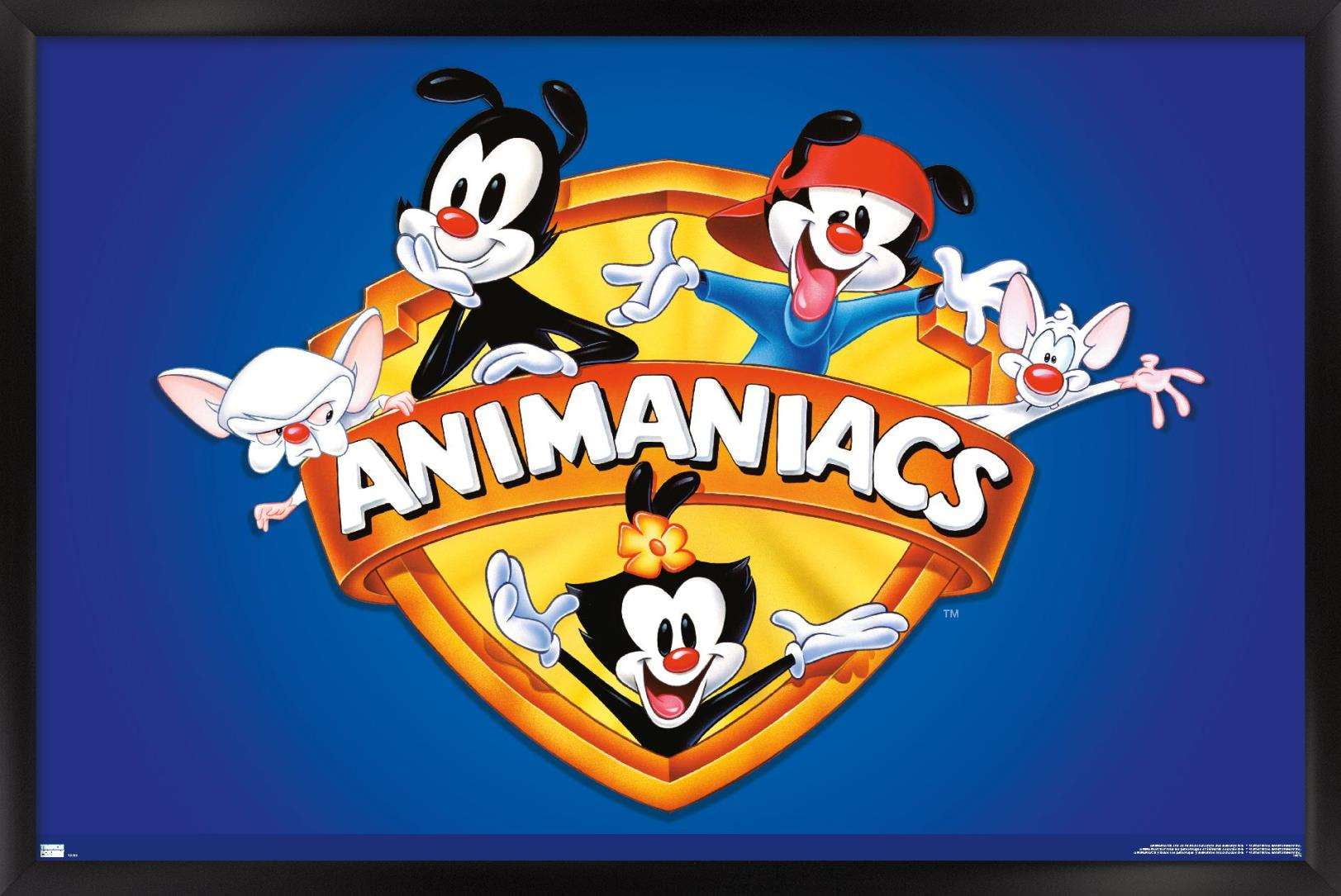 Animaniacs - Shield Wall Poster, 22.375" x 34", Framed