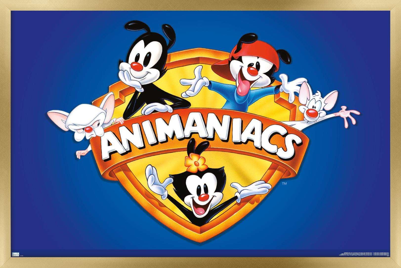 Animaniacs - Shield Wall Poster, 22.375" x 34", Framed