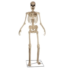 Animated 8 Foot Giant Skeleton Decoration
