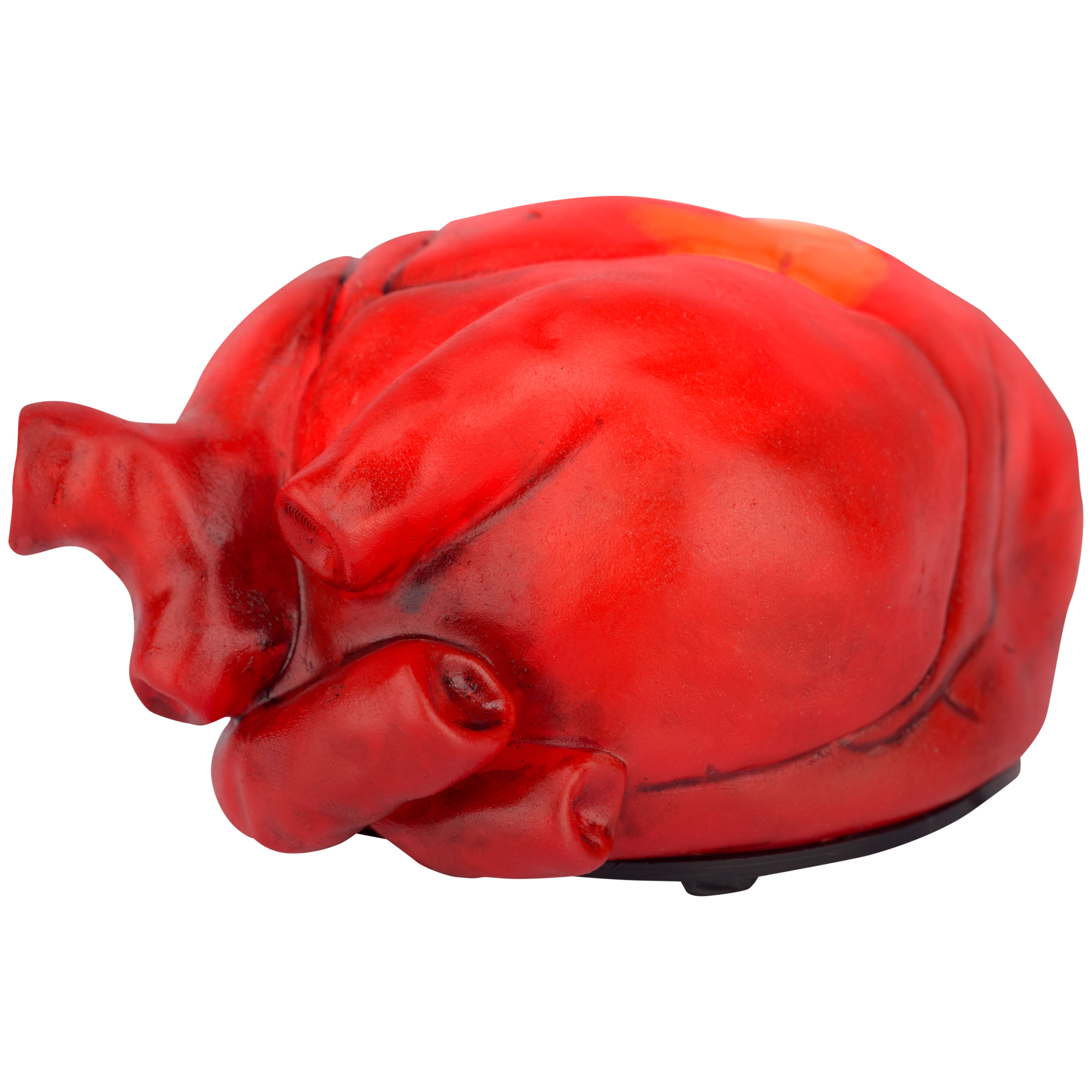 Animated Beating Heart by Ashland-Halloween Dcor for the Home