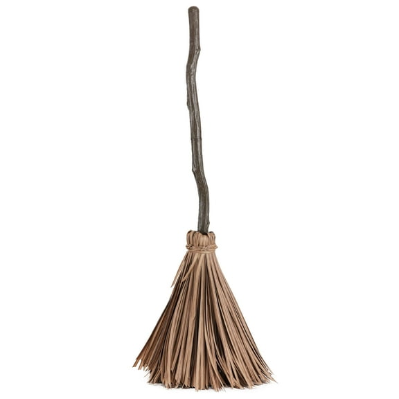 Animated Enchanted Magical Broom