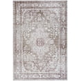 thumbnail image 1 of BoutiqueRugs Aninda Traditional, Transitional Area Rug - Taupe, Ivory, Dusty Rose - 2' x 3', 1 of 6
