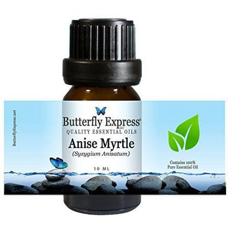 Anise Myrtle Essential Oil 10ml - 100% Pure by Butterfly Express