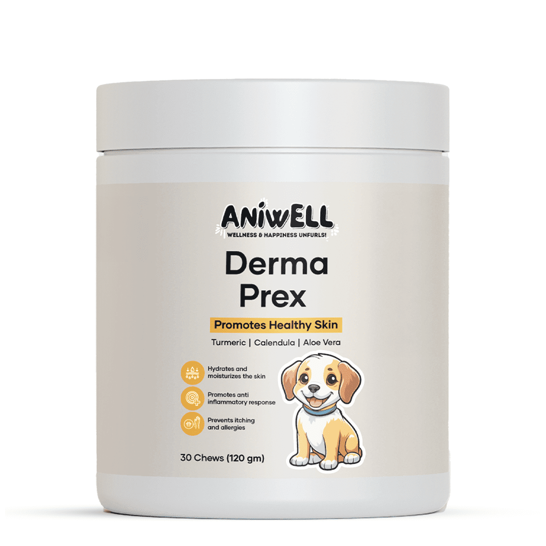 Aniwell DermaPrex Dog Itch Relief Chews | Vitamin E & Borage Oil | Anti Itch Dog Supplement | Seasonal Allergy & Itchy Skin Support | All Breeds