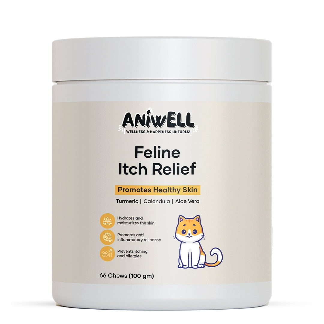 Aniwell Feline Itch Relief Chews | Aloe Vera & Omega-3 | Cat Itchy Skin & Allergy Support | Seasonal Itch Relief for Cats | All Ages & Breeds