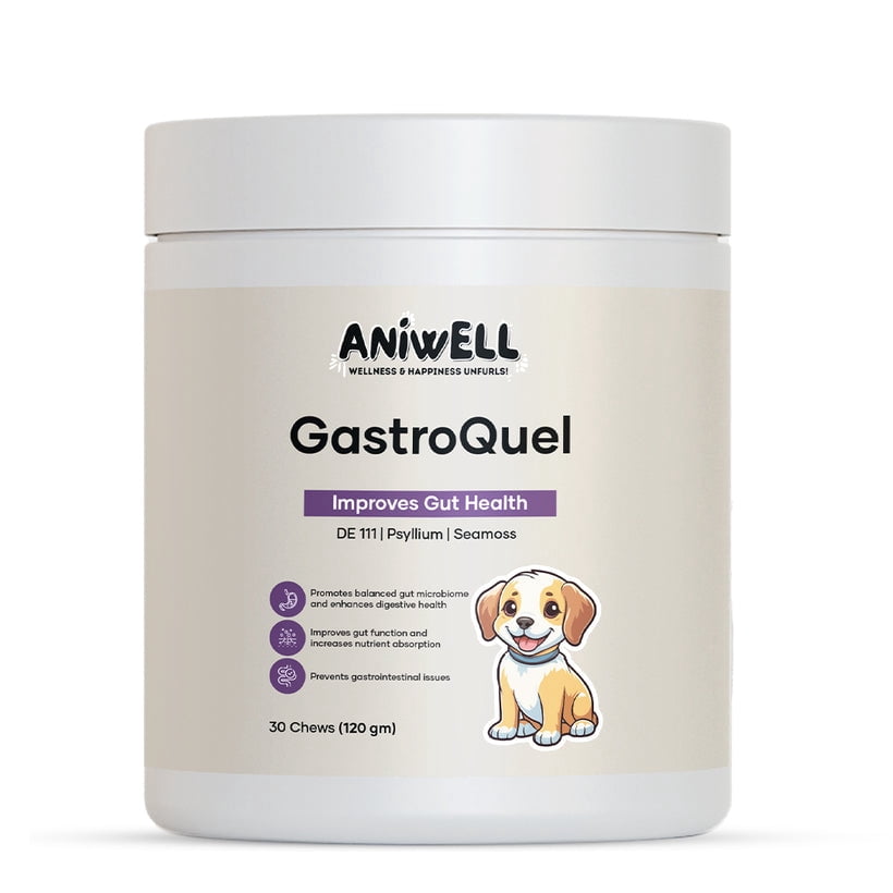 Aniwell GastroQuel Dog Probiotic Chews | Pumpkin & Manuka Honey | Dog Diarrhea & Upset Stomach Support | Gas Relief for Dogs | All Ages & Breeds