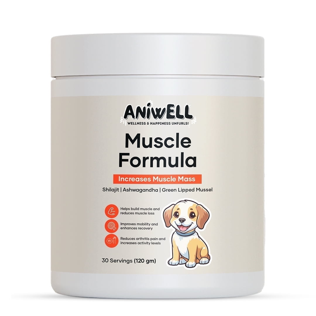 Aniwell Muscle Formula for Dogs: with Shilajit Ashwagandha and Green Lipped Mussel | Glucosamine Chondroitin Hip and Joint Support | Muscle Strength and Mobility