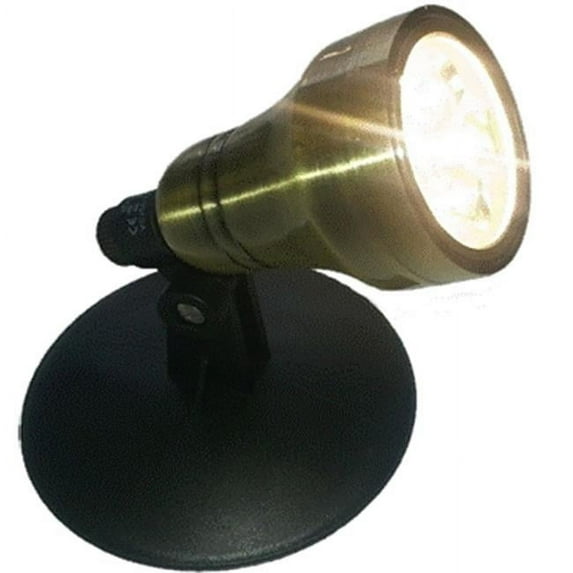 Anjon Manufacturing ABLED4 Brass LED Spot Light - 4 Watt With 4 Led