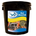 thumbnail image 1 of Anjon Manufacturing TKN10LB Koi Nourish Cold Weather Formula, 9 lbs., 1 of 1