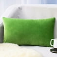 thumbnail image 1 of Ankereame 12x20 Inch Green Velvet Lumbar Throw Pillow Cover - Brushed Polyester, Zippered Closure, Machine Washable Soft Plush Cushion Cover for Couch Bedroom, Giftable, 1 of 6