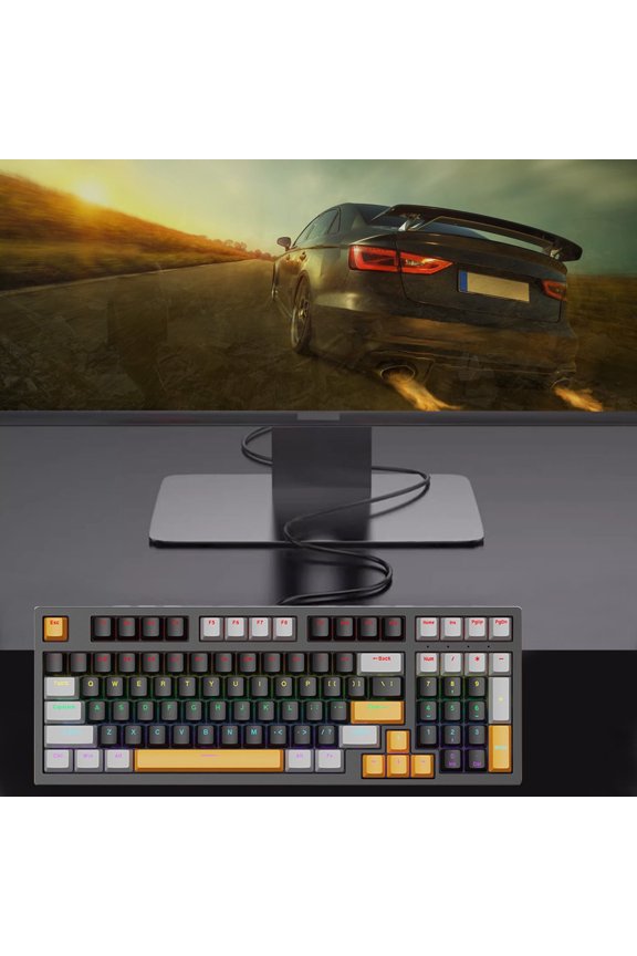 Russian Layout Mechanical Keyboard, 98-Key Hot Swap Wired USB-C Backlit Gaming Keyboard, Compatible with Windows, Ergonomic Compact Design with Colored Keycaps