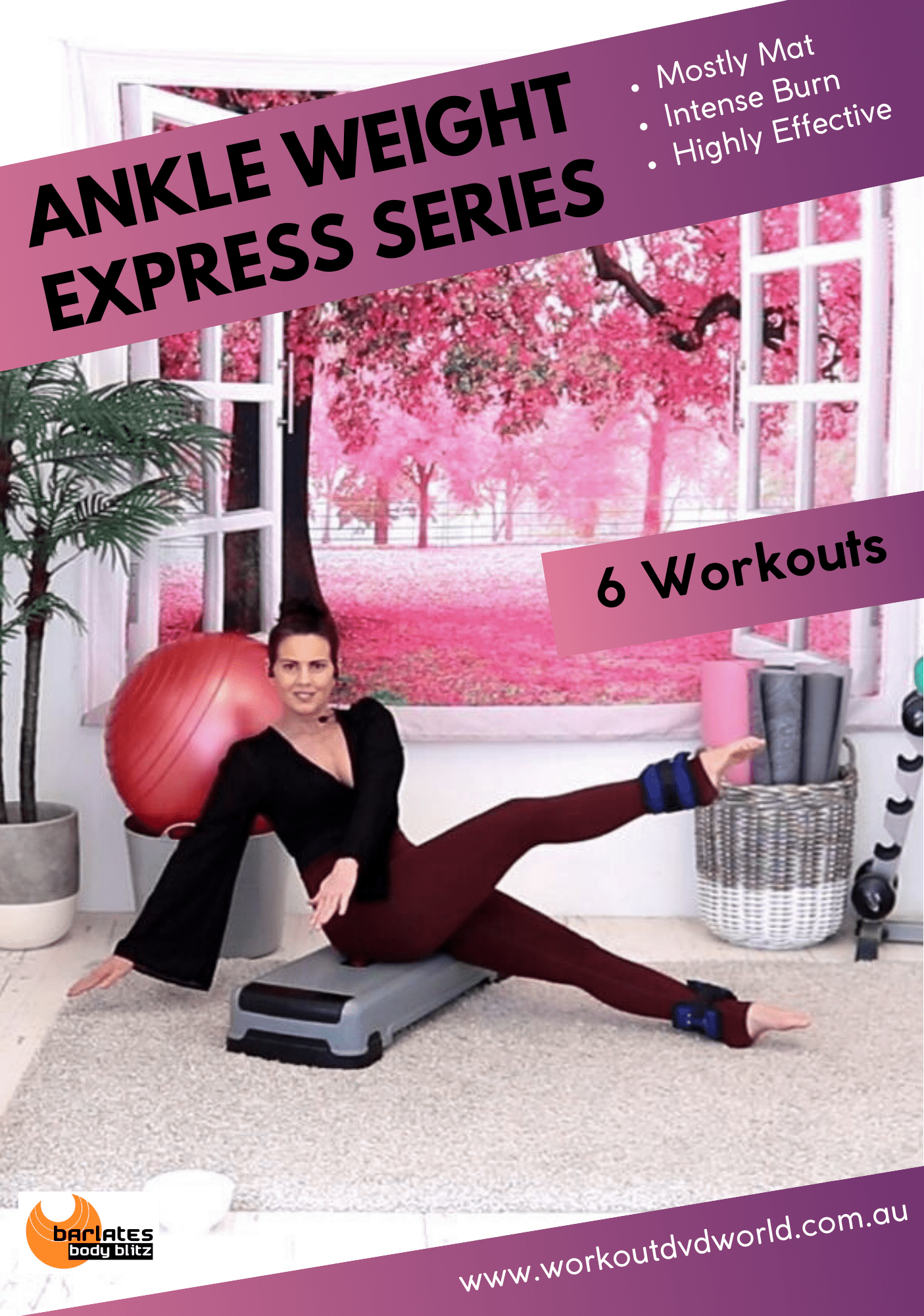 Ankle Weight Express 6 Workouts - Barlates Body Blitz - Linda Stejskal ...