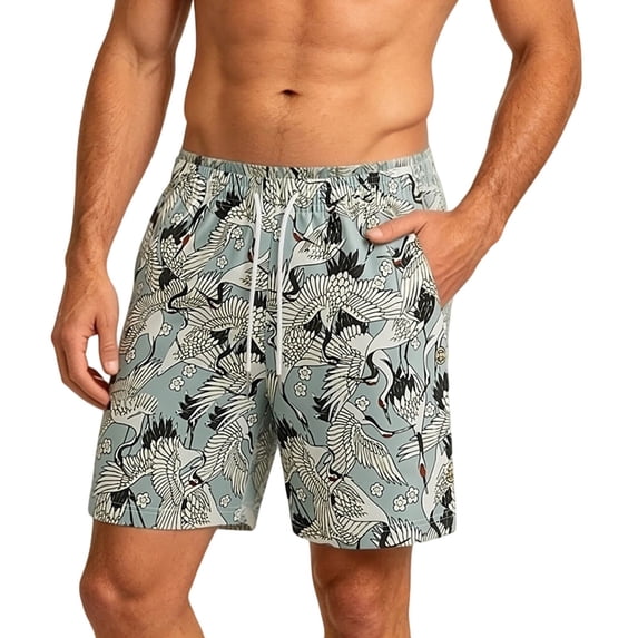 Ankola Mens Casual Shorts Outdoor Beach Shorts Elastic Waist Drawstring Athletic Shorts with Pockets for Running Vacation