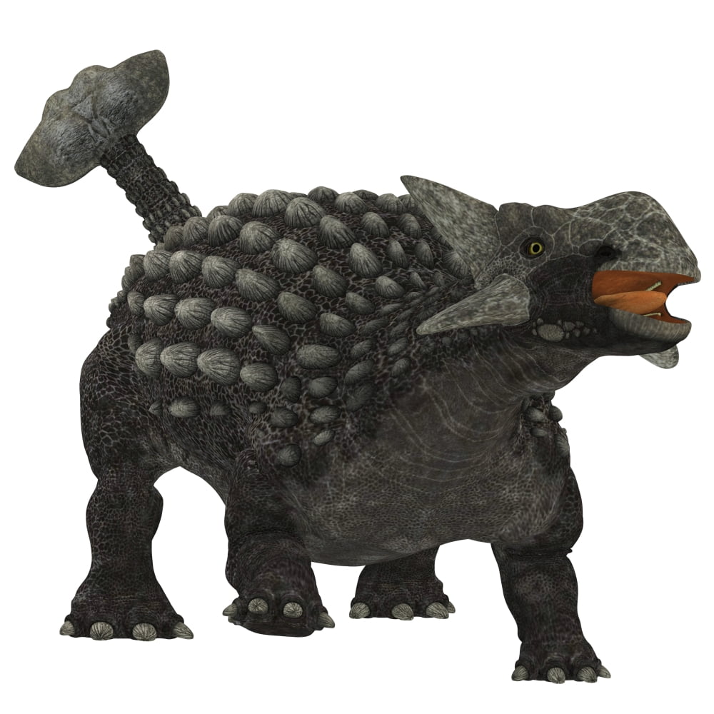 Ankylosaurus dinosaur Canvas Art - Corey FordStocktrek Images (29 x 29)