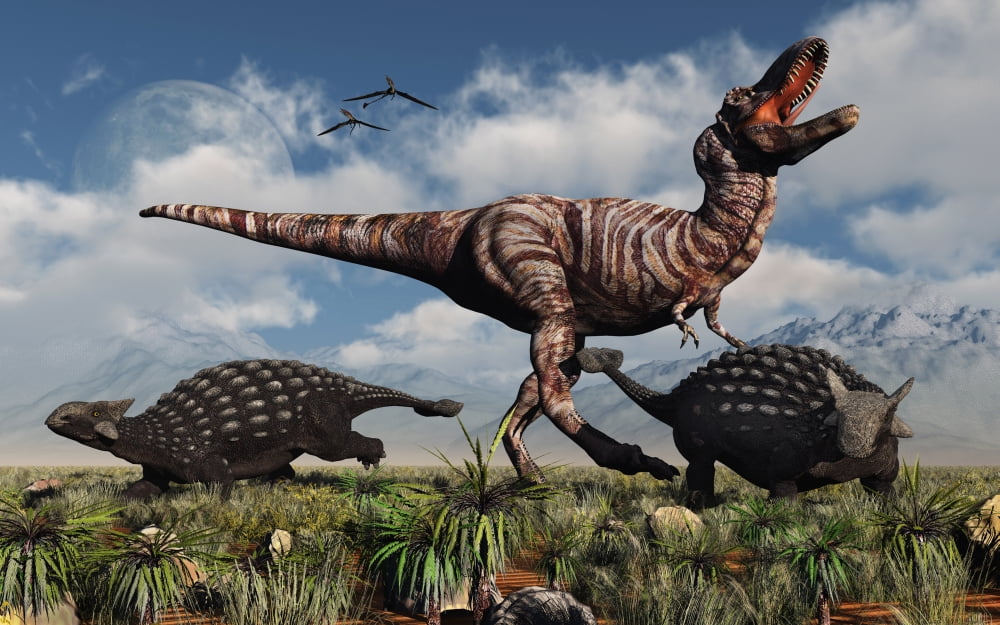 Ankylosaurus dinosaurs defend themselves against a T-Rex Canvas Art - Mark StevensonStocktrek Images (36 x 23)