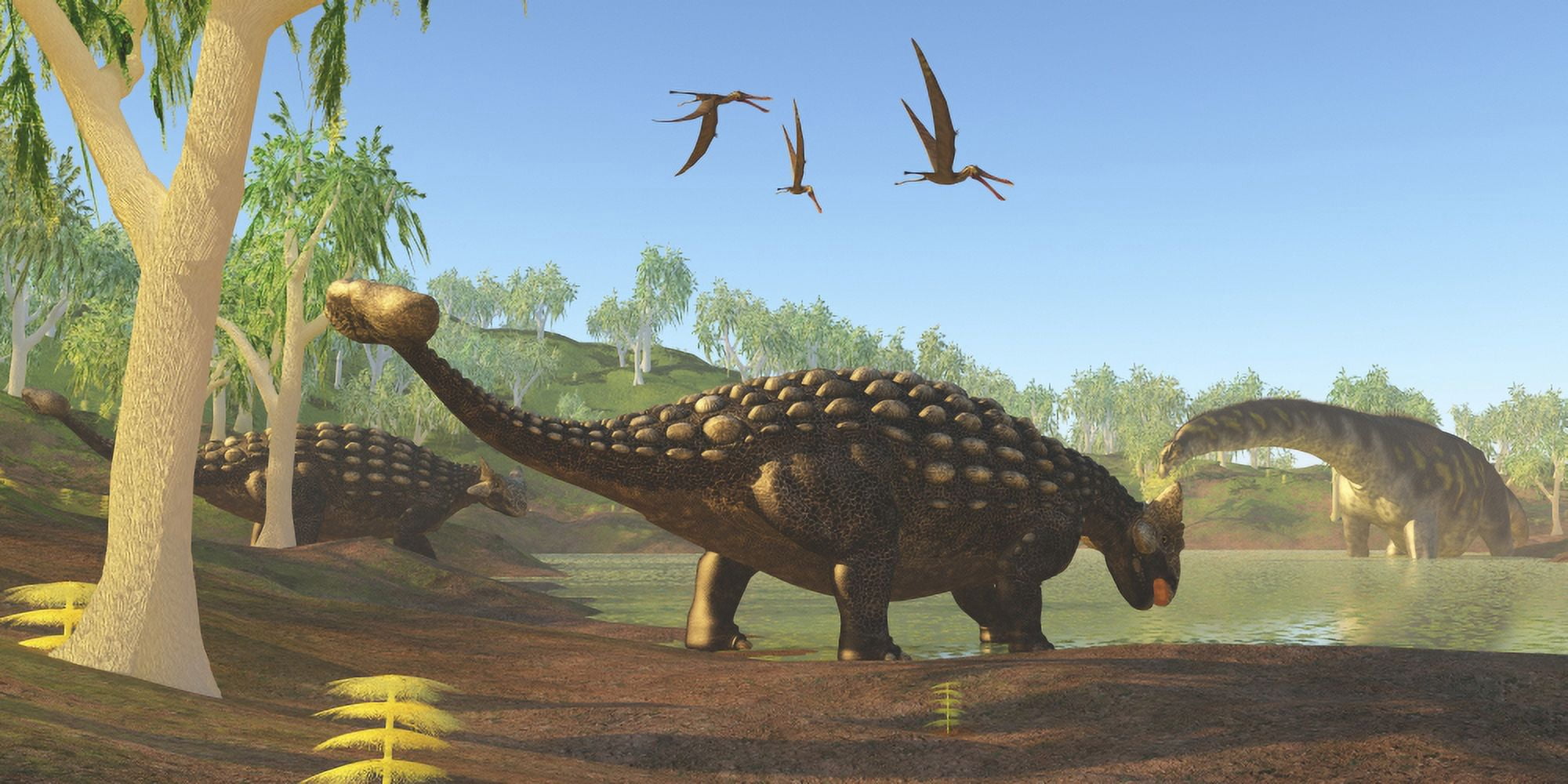 Ankylosaurus dinosaurs drink from a swamp along with an Argentinosaurus Canvas Art - Corey FordStocktrek Images (20 x 10)
