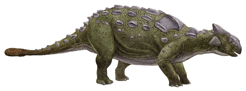 Ankylosaurus magniventris a prehistoric era dinosaur Canvas Art - Sergey KrasovskiyStocktrek Images (46 x 17)