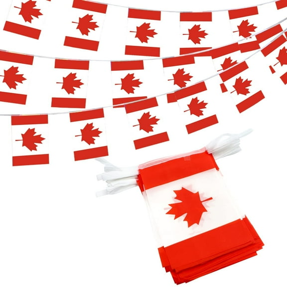 Anley Canada Canadian String Pennant Flags, Patriotic Events July 1st National Canada Day Dominion Day Celebration Decoration for Sports Bars - 33 Feet 38 Flags