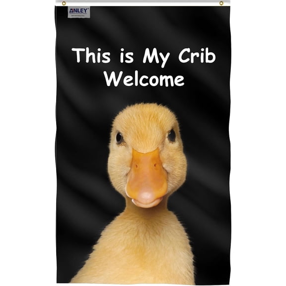Anley Fly Breeze 3x5 Foot This is My Crib Welcome Flag - Canvas Header and Double Stitched - Novelty Funny Flags for College Dorm Gym Flags Polyester with Brass Grommets 3 X 5 Ft