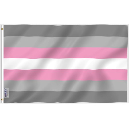 Anley Fly Breeze 3x5 foot Demigirl Pride Flag - LGBT Flags Polyester