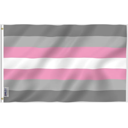 Anley Fly Breeze 3x5 foot Demigirl Pride Flag - LGBT Flags Polyester