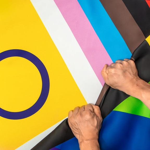 Anley Rip-Proof Double Sided 3-Ply New Intersex Inclusive Progress Pride Flag 3x5 Foot -The Strongest, Longest Lasting Rainbow LGBT Transgender Flags 3 X 5 Ft
