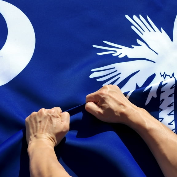 Anley Rip-Proof Double Sided 3-Ply South Carolina State Flag 3x5 Foot - SC Flags 300D Polyester