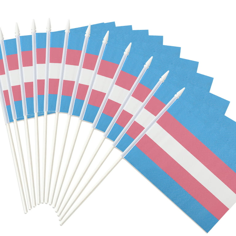 Anley Transgender Mini Flag 12 Pack - Hand Held Small Miniature
