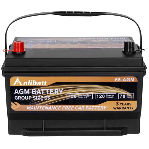 Anlibatt Platinum AGM Group 65 Battery, 12 Volt Rechargeable Automotive Batteries for Car 750CCA 70Ah 120RC
