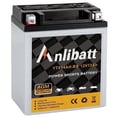 thumbnail image 1 of Anlibatt YTX14AH-BS Motorcycle Battery 12V 12Ah 210CCA Rechargeable Sealed AGM Battery Maintenance Free Automotive Replacement Battery for ATV and Scooter, 1 of 7
