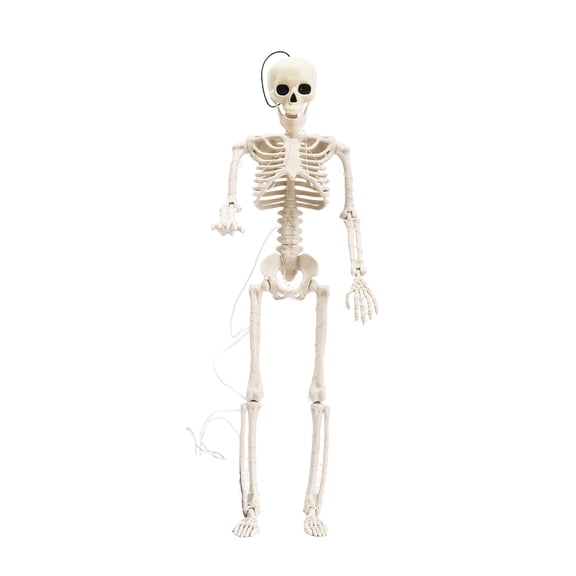 Anmrize Poseable Full Skeleton Statue, Light Up Human Skeleton Figurine, Articulated Bone Ornament, Full Body Poseable Human Skeleton Led Light Up Halloween Yard Indoor Decor, White