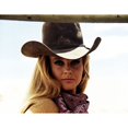 thumbnail image 1 of Ann-Margret - The Train Robbers Poster Print by Hollywood Photo Archive Hollywood Photo Archive (36 x 24), 1 of 1