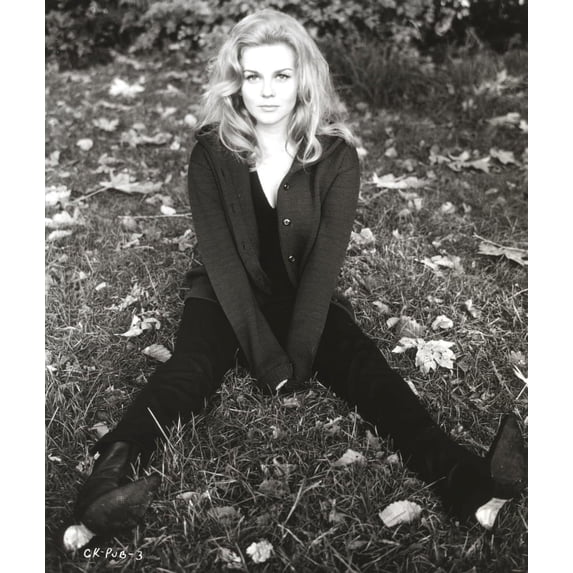 Ann Margret sitting on the Ground wearing Sweater Classic Photo Print (24 x 30)