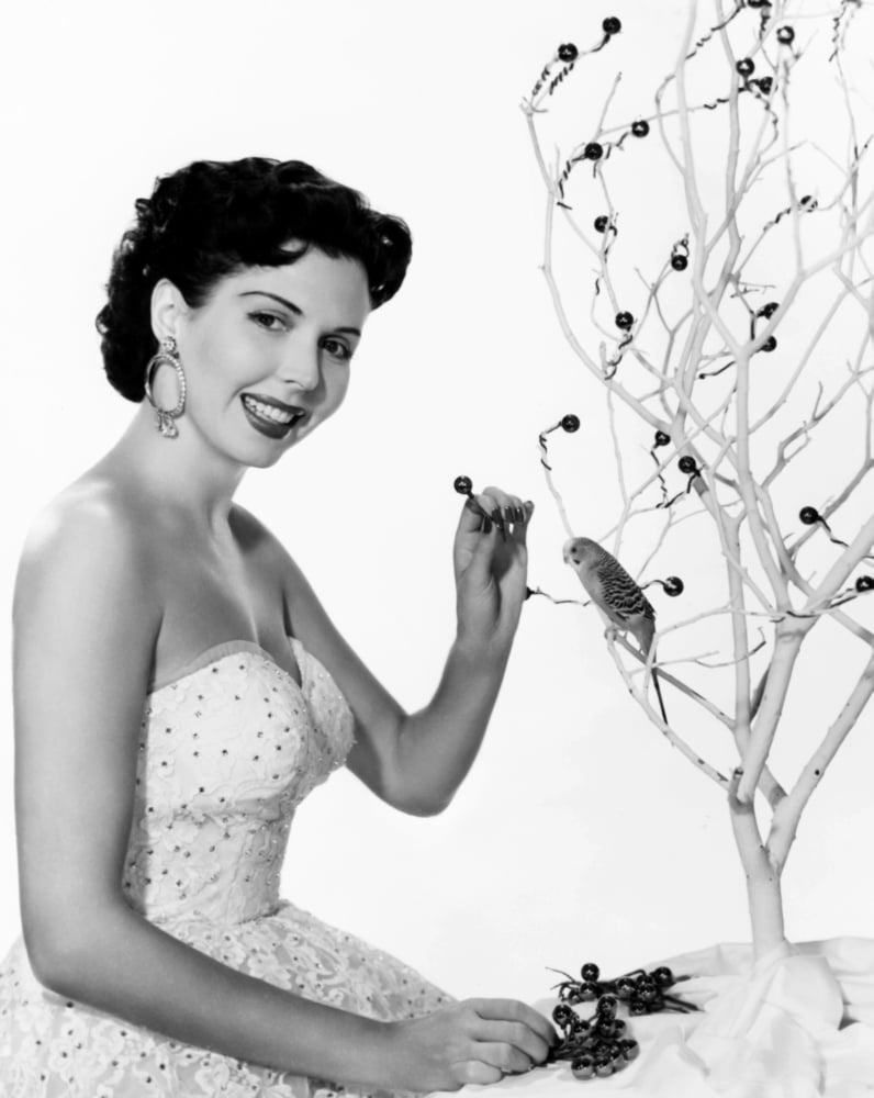Ann Miller Canvas Art - (16 x 20)