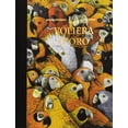thumbnail image 1 of Anna Castagnoli La voliera d'oro. Ediz. illustrata (Paperback), 1 of 2