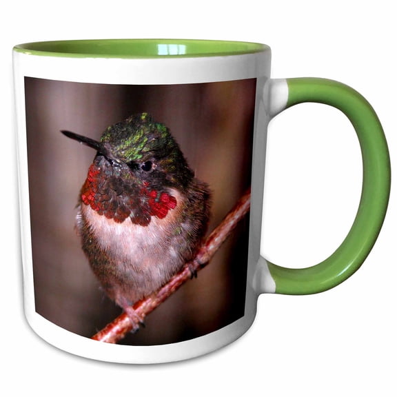 3drose, Anna Hummingbird, 11oz Two-tone Green Mug