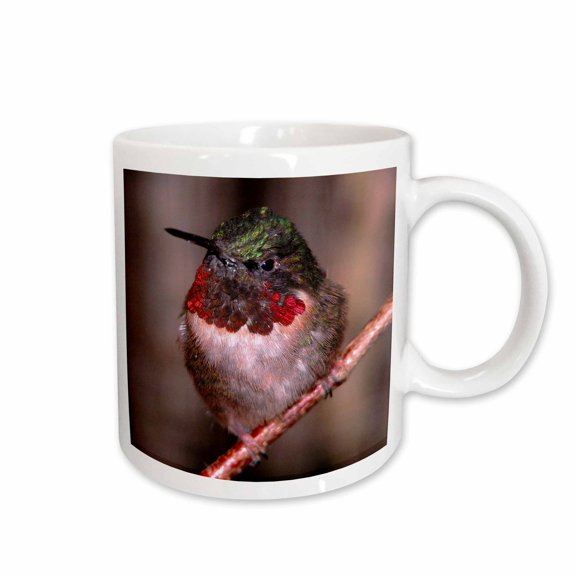 3drose, Anna Hummingbird, 15oz Mug