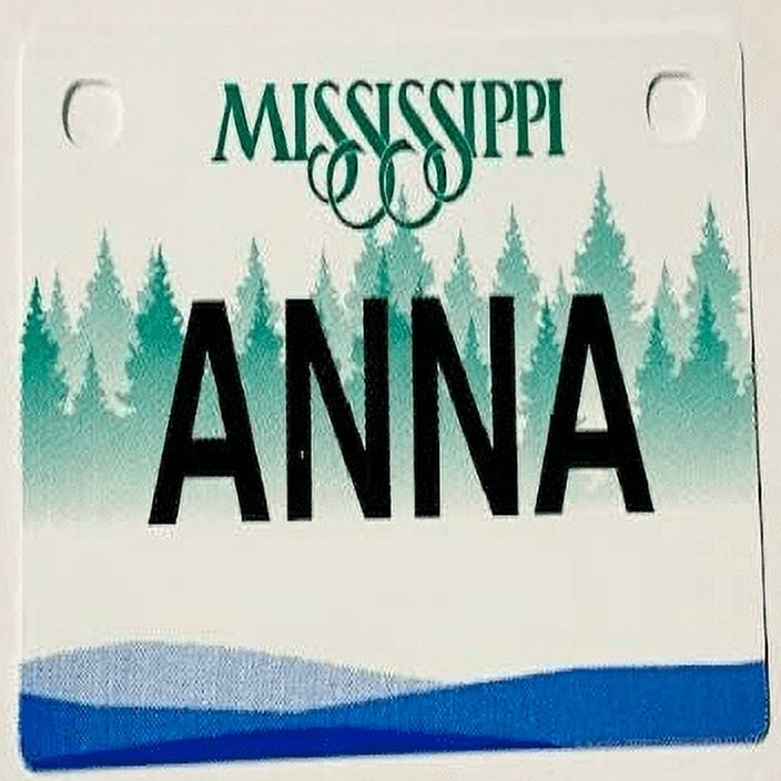 Anna Mini Bike Plate Add On Accessory